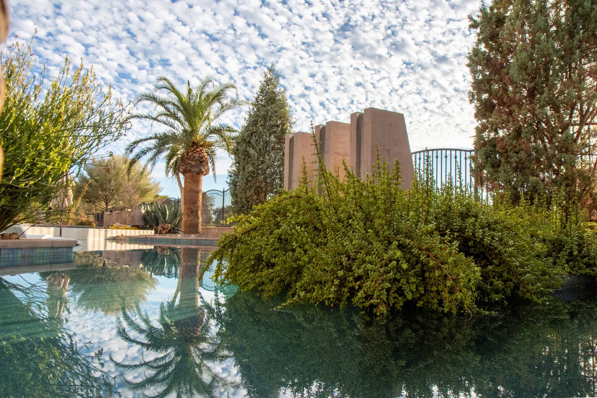 Gilbert desert landscaping