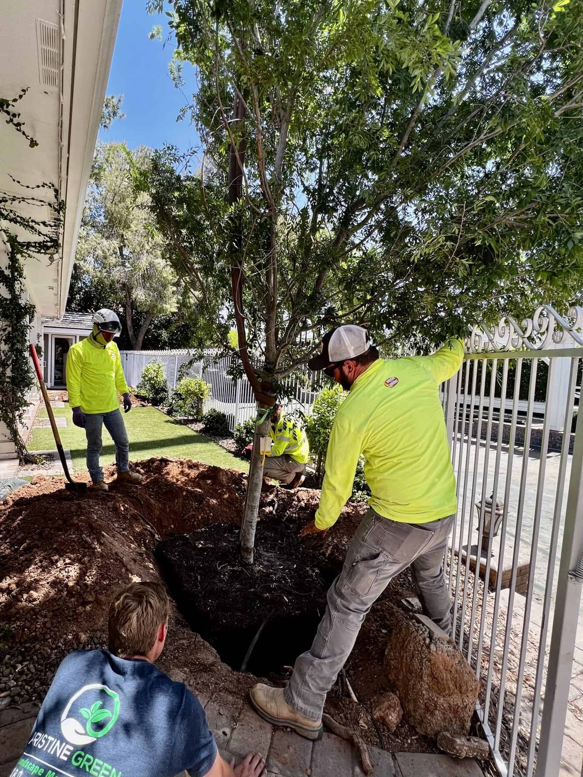 Planting & Tree Services
