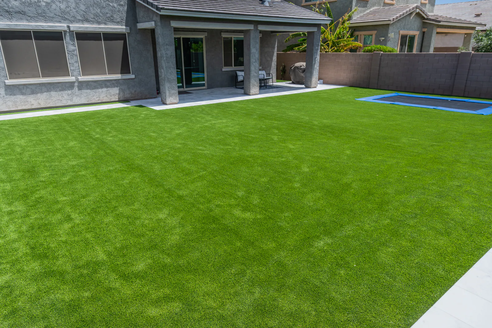 Backyard Renovation