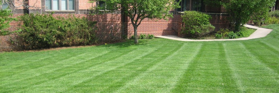 Your lawn and landscape care
the way that it should be